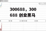 300688，300688 创业黑马