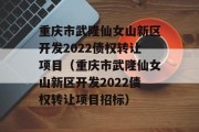 重庆市武隆仙女山新区开发2022债权转让项目（重庆市武隆仙女山新区开发2022债权转让项目招标）