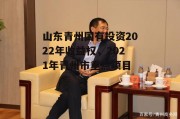 山东青州国有投资2022年收益权，2021年青州市重点项目