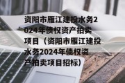 资阳市雁江建投水务2024年债权资产拍卖项目（资阳市雁江建投水务2024年债权资产拍卖项目招标）