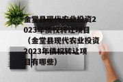 金堂县现代农业投资2023年债权转让项目（金堂县现代农业投资2023年债权转让项目有哪些）