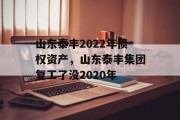 山东泰丰2022年债权资产，山东泰丰集团复工了没2020年