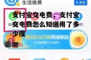 支付宝交电费，支付宝交电费怎么知道用了多少度