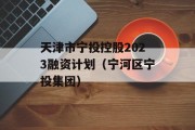 天津市宁投控股2023融资计划（宁河区宁投集团）