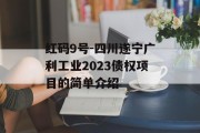 红码9号-四川遂宁广利工业2023债权项目的简单介绍