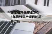 金堂县净源排水2023年债权资产项目的简单介绍