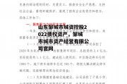 山东邹城市城资控股2022债权资产，邹城市城市资产经营有限公司官网