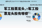 军工股票龙头，军工股票龙头股有哪些