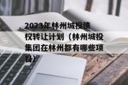 2023年林州城投债权转让计划（林州城投集团在林州都有哪些项目）