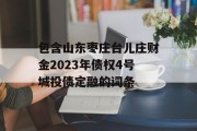 包含山东枣庄台儿庄财金2023年债权4号城投债定融的词条