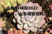 山东YX城投2022债权，山东城投招聘2022