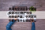 天津市宁河区兴宁建设投资2023财产权信托收益产品，宁河区兴宁集团是什么级别单位