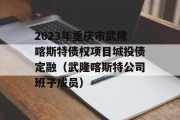 2023年重庆市武隆喀斯特债权项目城投债定融（武隆喀斯特公司班子成员）