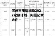 滨州市阳信城投2022定融计划，阳信纪家大庄