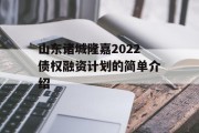 山东诸城隆嘉2022债权融资计划的简单介绍