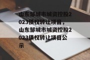 山东邹城市城资控股2023债权转让项目，山东邹城市城资控股2023债权转让项目公示