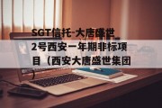 SGT信托-大唐盛世2号西安一年期非标项目（西安大唐盛世集团）