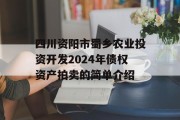 四川资阳市蜀乡农业投资开发2024年债权资产拍卖的简单介绍