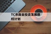 TC市商业投资发展债权计划