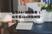 山东AA+城投债券（山东省aaa评级城投公司）