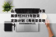 山东寿光市昇景海洋发展债权2023年融资定融计划（寿光圣景地产）