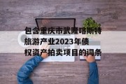 包含重庆市武隆喀斯特旅游产业2023年债权资产拍卖项目的词条