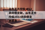 山东正方控股2022政府债定融，山东正方控股2022政府债定融基金