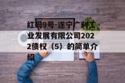 红码9号-遂宁广利工业发展有限公司2022债权（5）的简单介绍