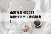 山东青岛HS2023年债权资产（青岛债务）