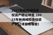 2023年林州城投债权资产转让项目（2023年林州城投债权资产转让项目有哪些）