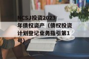 NCSJ投资2023年债权资产（债权投资计划登记业务指引第1号）