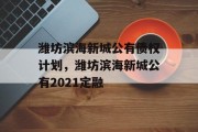 潍坊滨海新城公有债权计划，潍坊滨海新城公有2021定融