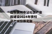 山东滨州市沾化区产业园建设2024年债权资产城投债定融