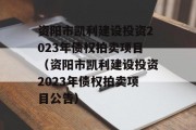 资阳市凯利建设投资2023年债权拍卖项目（资阳市凯利建设投资2023年债权拍卖项目公告）