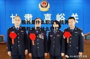 股长是什么职位，税务局股长是什么职位