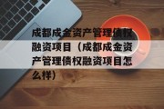 成都成金资产管理债权融资项目（成都成金资产管理债权融资项目怎么样）