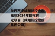 陕西西安咸阳新控应收账款2024年债权转让项目（咸阳新控控股集团公司）