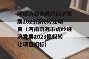 河南济源市虎岭经济发展2023债权转让项目（河南济源市虎岭经济发展2023债权转让项目招标）