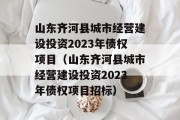 山东齐河县城市经营建设投资2023年债权项目（山东齐河县城市经营建设投资2023年债权项目招标）