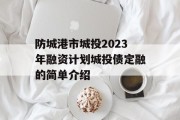 防城港市城投2023年融资计划城投债定融的简单介绍