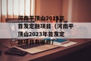 河南平顶山2023年首发定融项目（河南平顶山2023年首发定融项目有哪些）