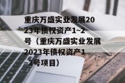 重庆万盛实业发展2023年债权资产1~2号（重庆万盛实业发展2023年债权资产1~2号项目）