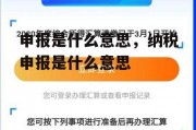 申报是什么意思，纳税申报是什么意思