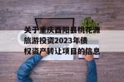 关于重庆酉阳县桃花源旅游投资2023年债权资产转让项目的信息