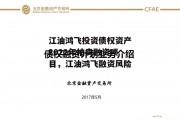 江油鸿飞投资债权资产2022年拍卖融资项目，江油鸿飞融资风险