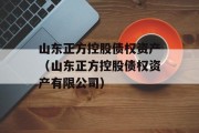 山东正方控股债权资产（山东正方控股债权资产有限公司）