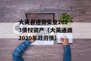 大英县通源实业2023债权资产（大英通源2020年政府债）