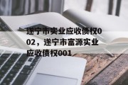 遂宁市实业应收债权002，遂宁市富源实业应收债权001