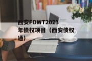 西安FDWT2023年债权项目（西安债权通）