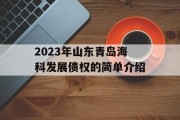 2023年山东青岛海科发展债权的简单介绍